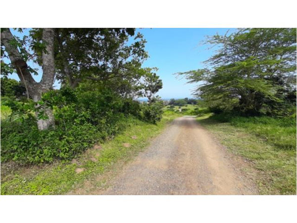 Property 3133933 - Image 15