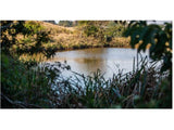 Property 3133933 - Image 6