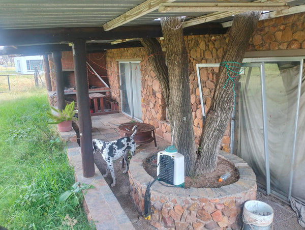 Property 3139049 - Image 11