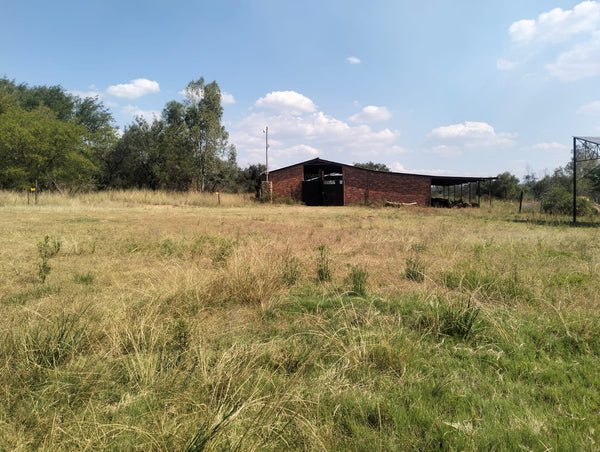 Property 3139049 - Image 12