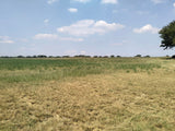 Property 3139049 - Image 26
