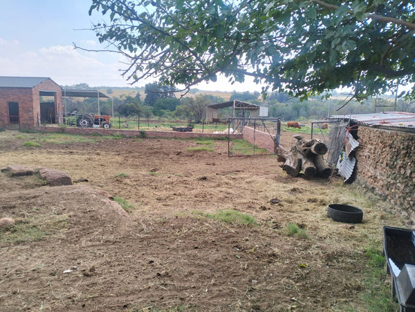 Property 3139049 - Image 32