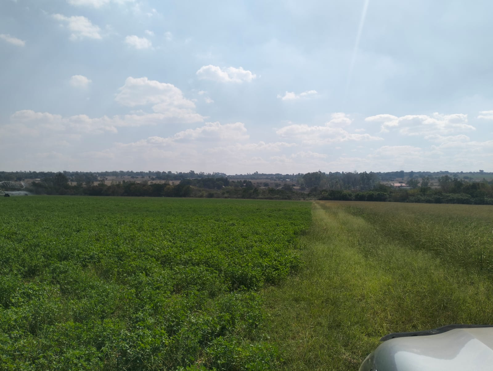 Property 3139049 - Image 38