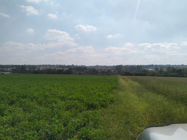 Property 3139049 - Image 38