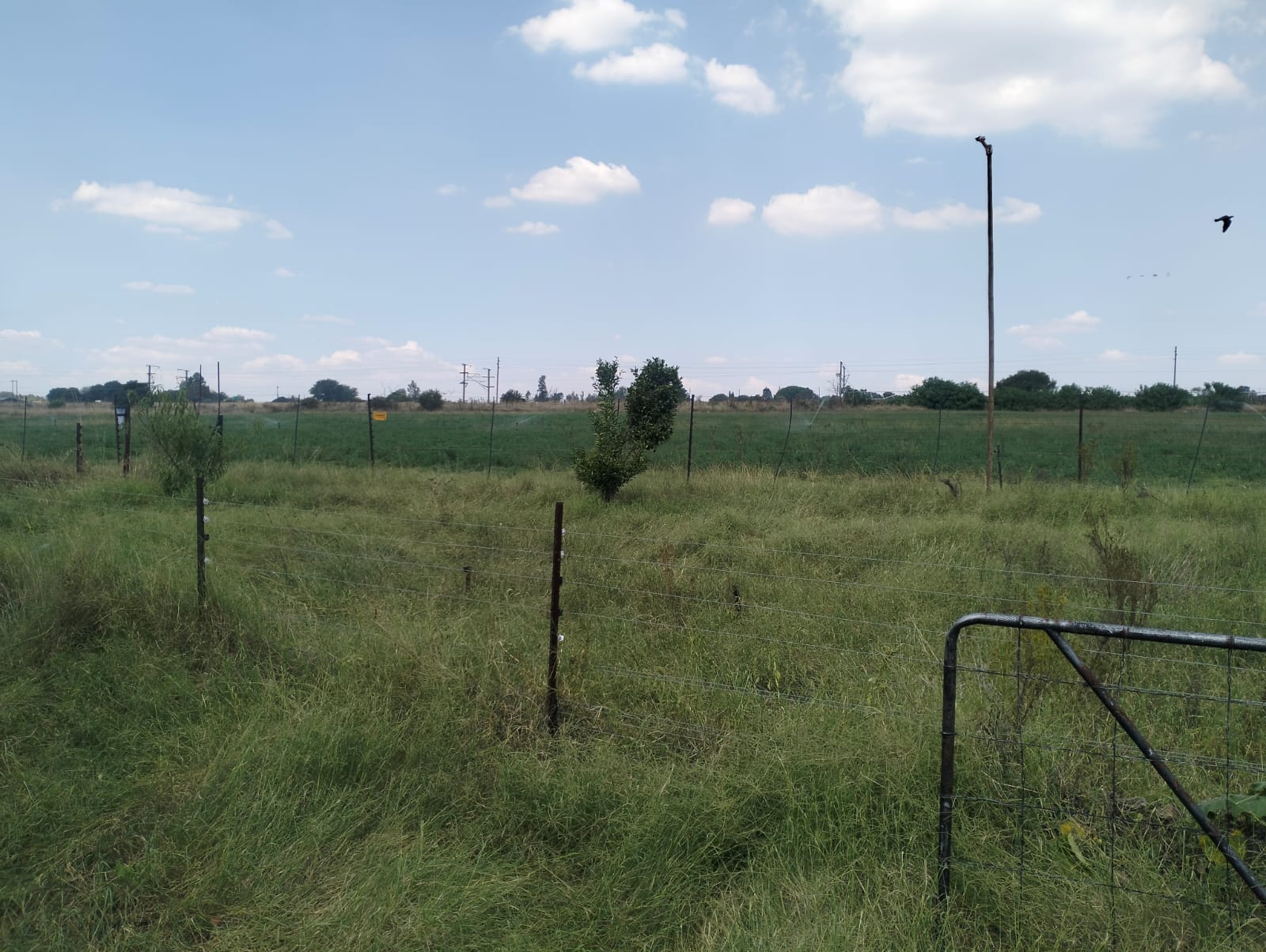 Property 3139049 - Image 49