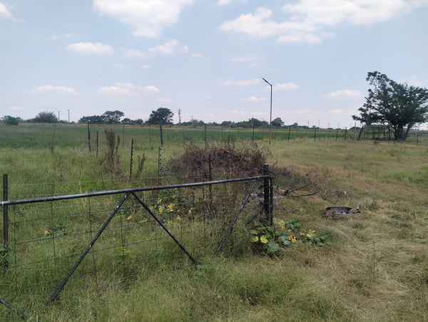 Property 3139049 - Image 55