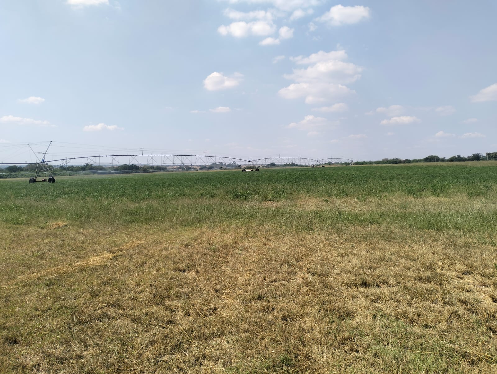 Property 3139049 - Image 56