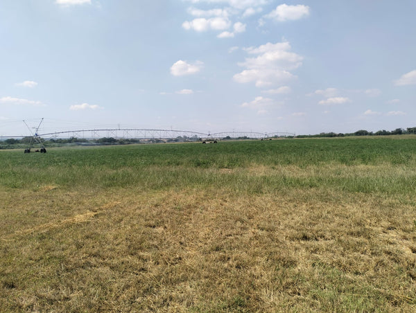 Property 3139049 - Image 56