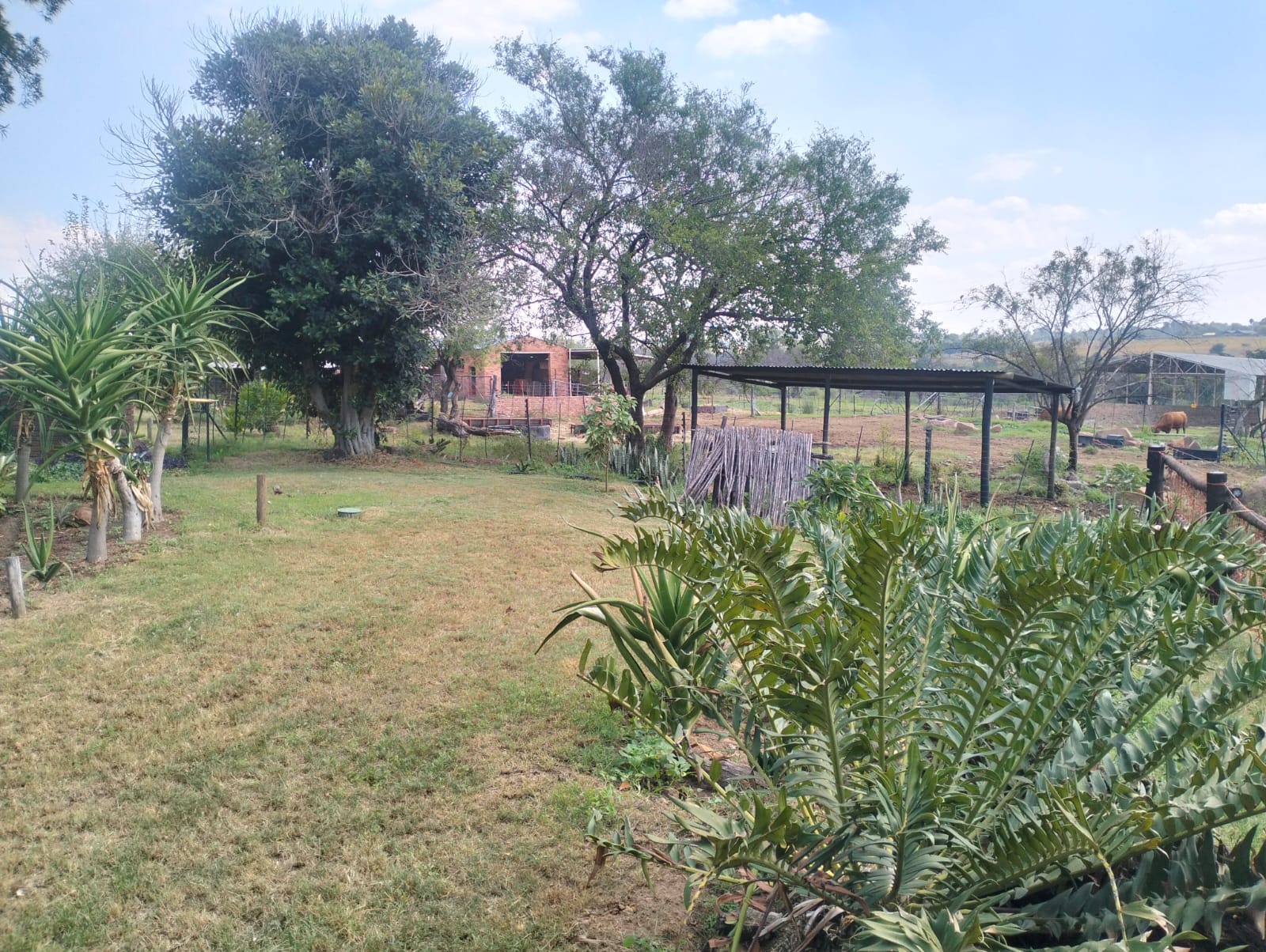 Property 3139049 - Image 7