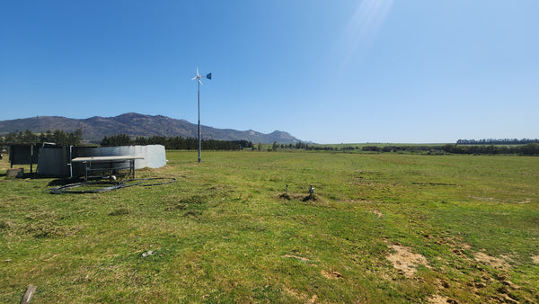 Property 313925 - Image 11