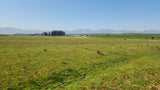 Property 313925 - Image 14