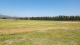 Property 313925 - Image 8