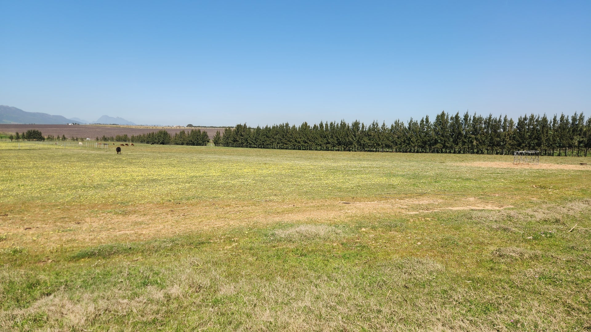 Property 313925 - Image 8