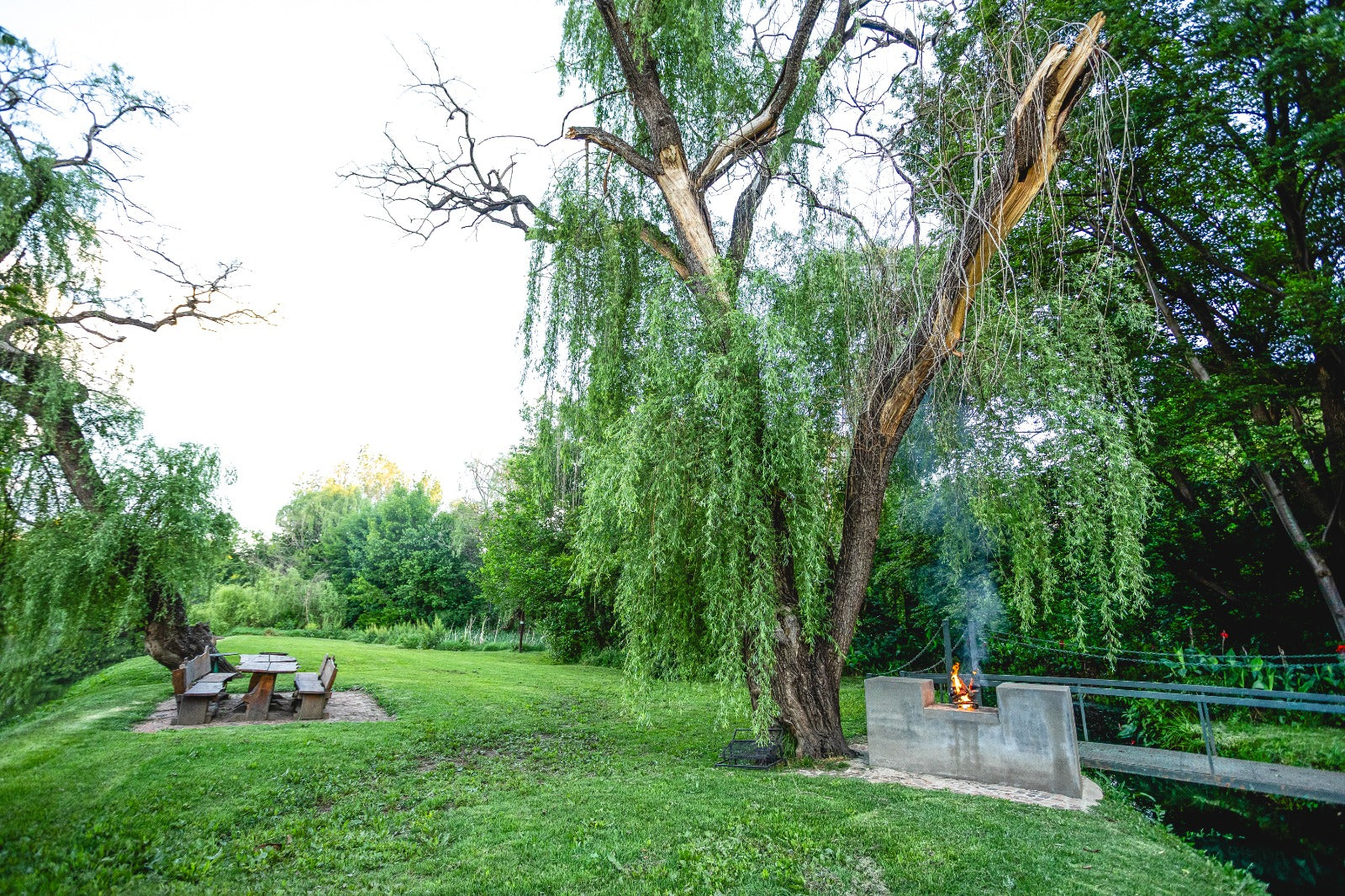 Property 3140744 - Image 3