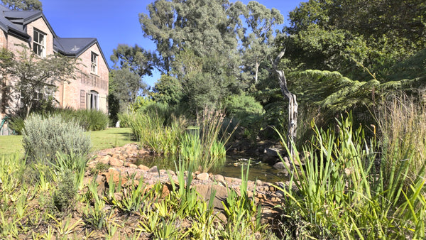 Property 3144514 - Image 16