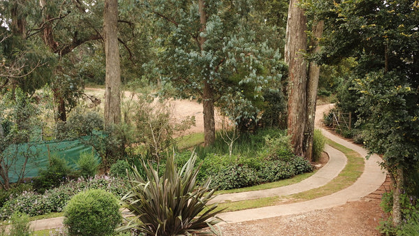 Property 3144514 - Image 17
