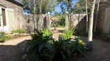 Property 3144514 - Image 26