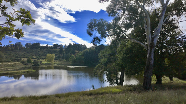 Property 3144514 - Image 42
