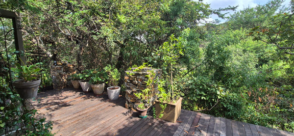 Property 3145629 - Image 46