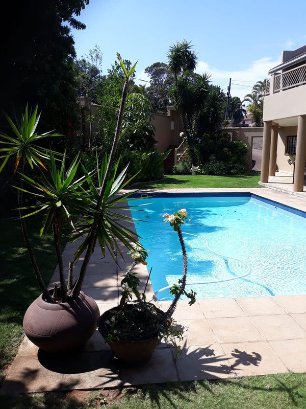 Property 3146207 - Image 6