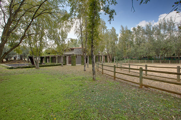 Property 3146973 - Image 14