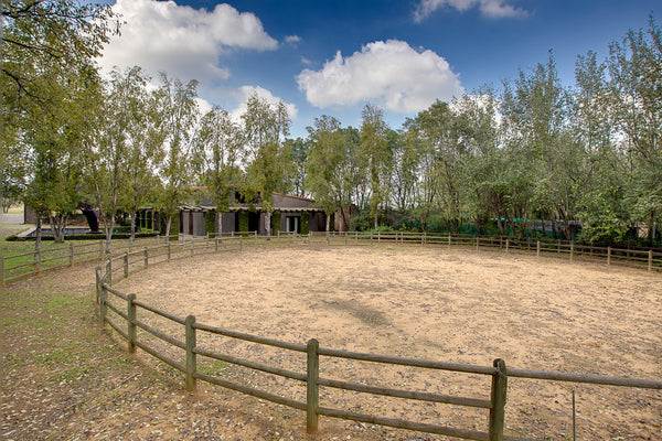 Property 3146973 - Image 15