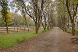 Property 3146973 - Image 16