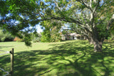 Property 3148882 - Image 3