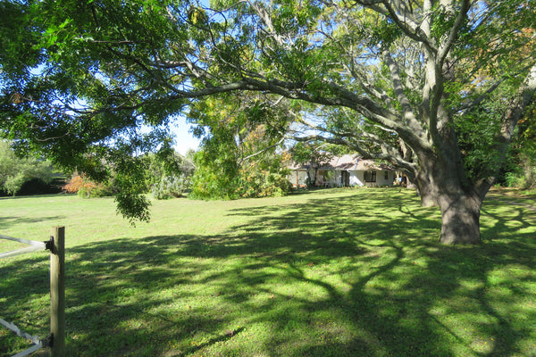 Property 3148882 - Image 3