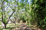 Property 3148882 - Image 31