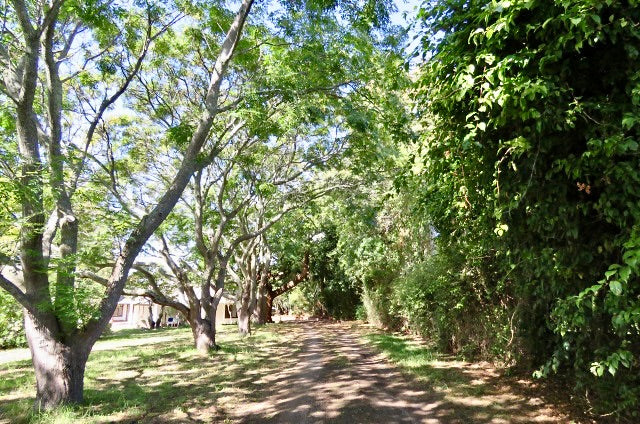Property 3148882 - Image 31