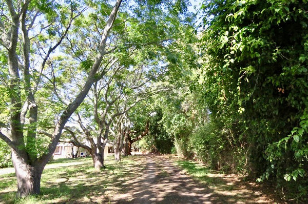Property 3148882 - Image 31
