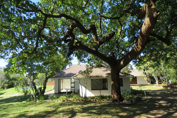 Property 3148882 - Image 33