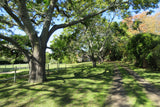 Property 3148882 - Image 35