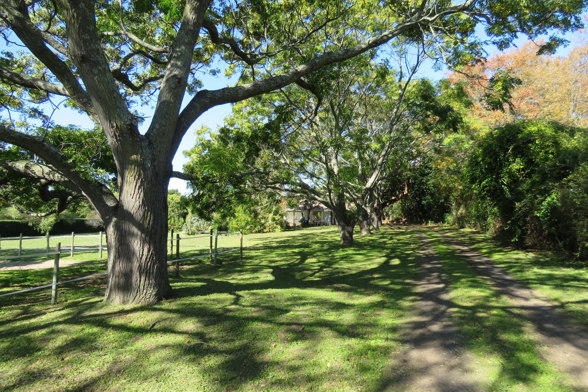 Property 3148882 - Image 35