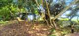 Property 3152425 - Image 13