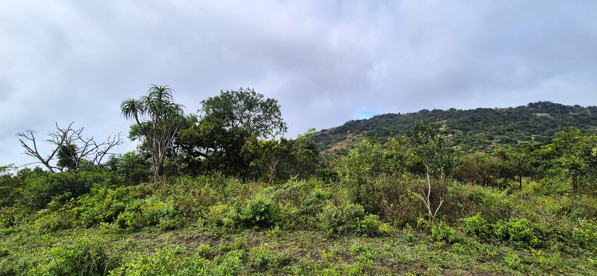 Property 3152425 - Image 20