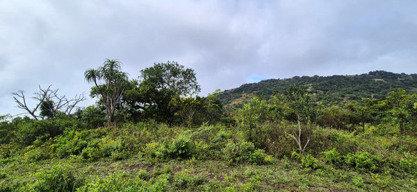 Property 3152425 - Image 20