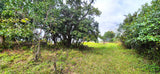 Property 3152425 - Image 22