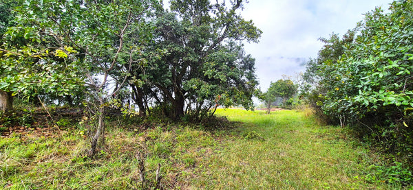 Property 3152425 - Image 22