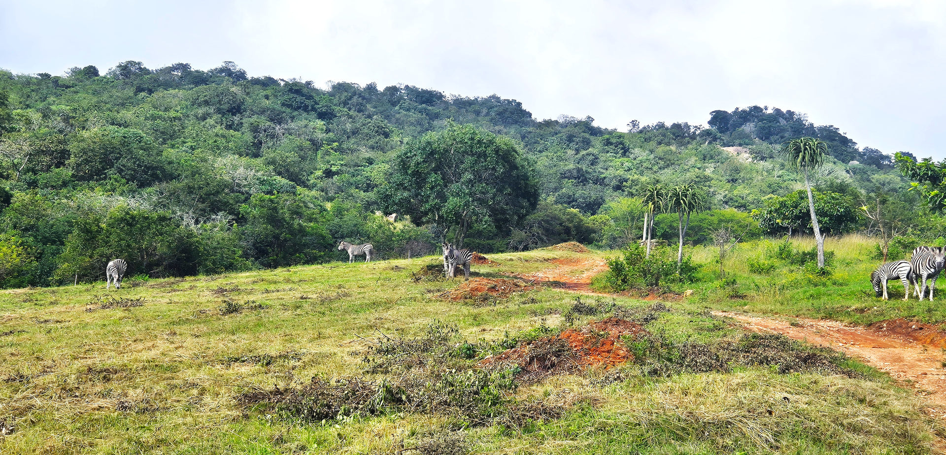 Property 3152425 - Image 3