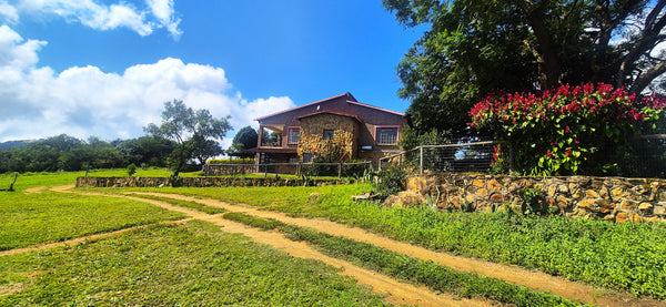 Property 3152425 - Image 46
