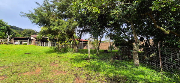 Property 3152425 - Image 78