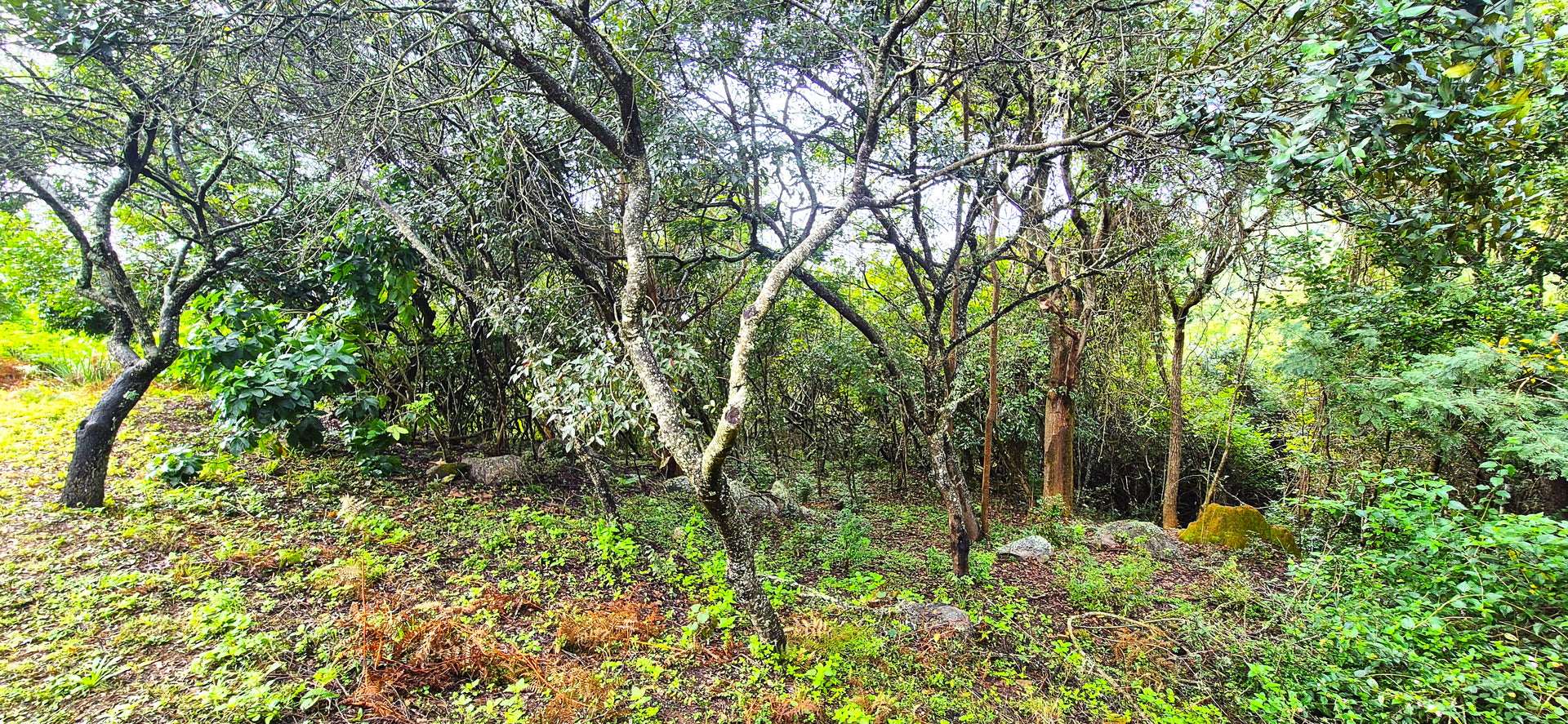 Property 3152425 - Image 89