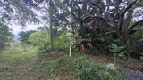 Property 3153859 - Image 3