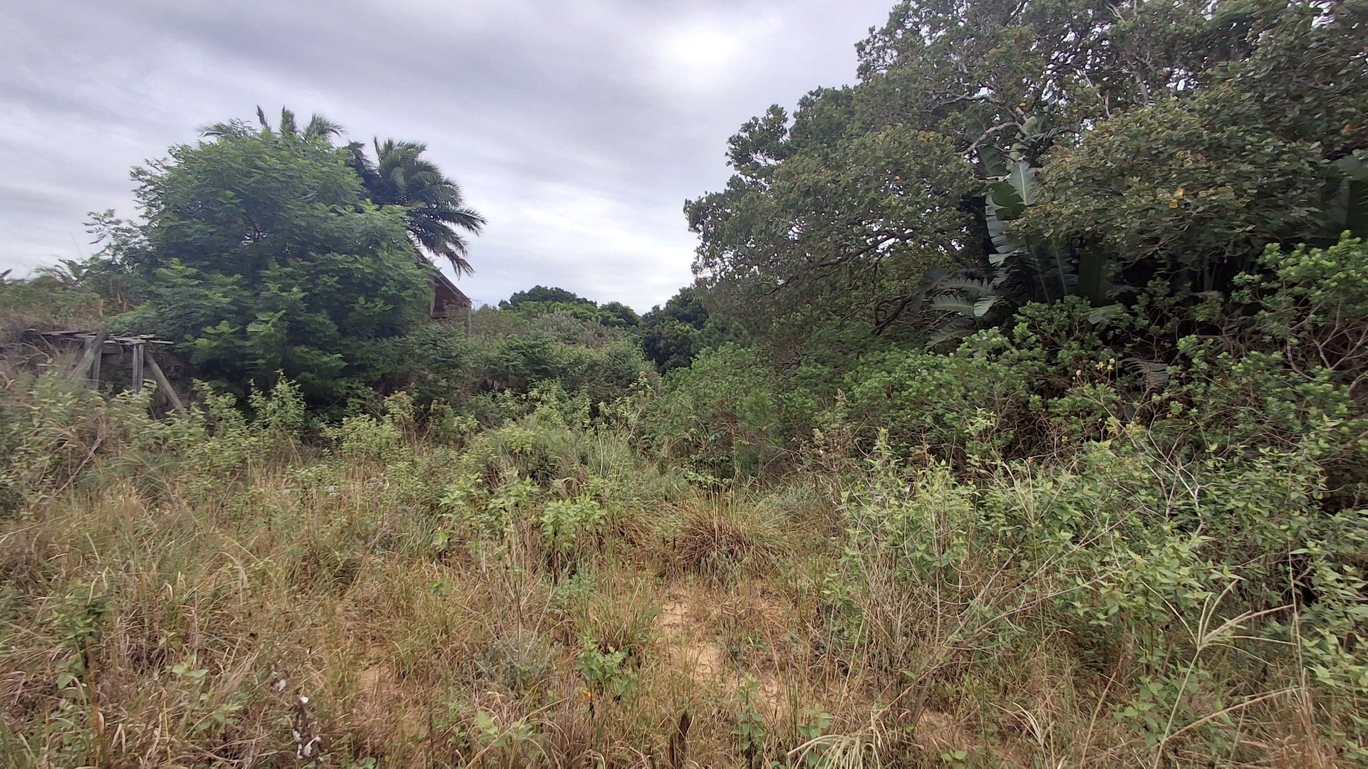 Property 3153859 - Image 5