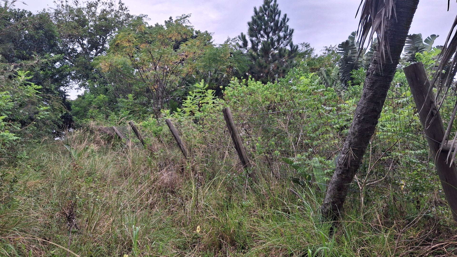 Property 3153859 - Image 6