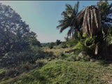 Property 3153859 - Image 9