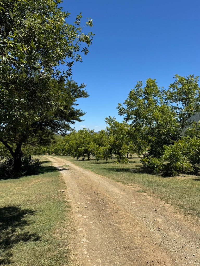 Property 3156266 - Image 3