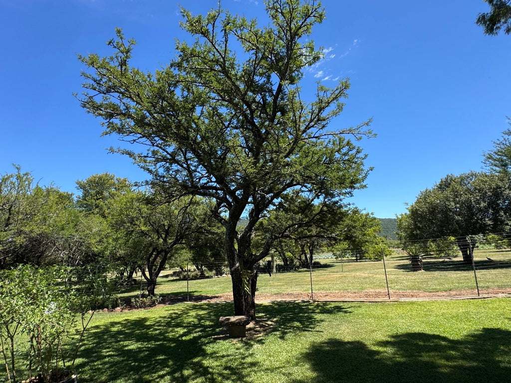 Property 3156266 - Image 6